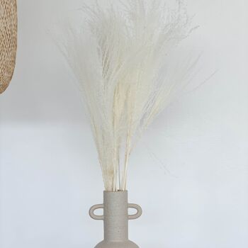 Roseau : Boho chic - une touche de naturel pour votre vase 5