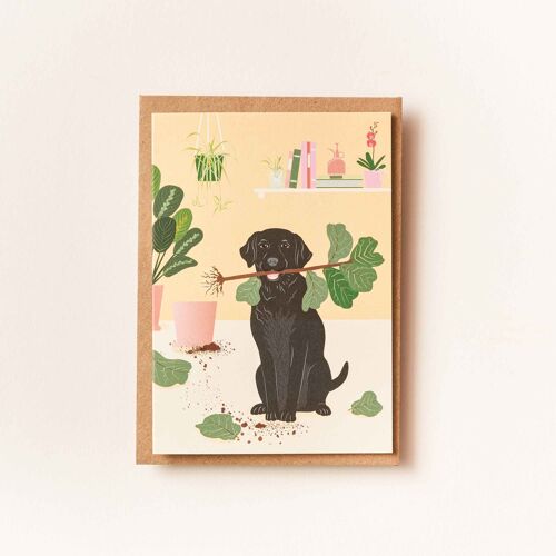 Greeting Card - Game of Fetch