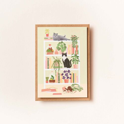 Greeting Card - Double Trouble (cat shelf)