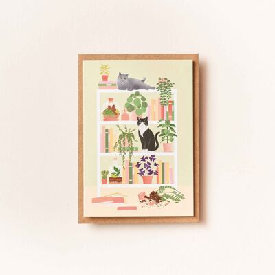 Greeting Card - Double Trouble (cat shelf)