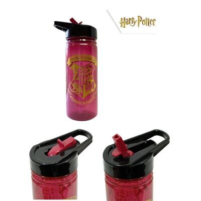 Botella 600 ML Harry Potter Burdeos