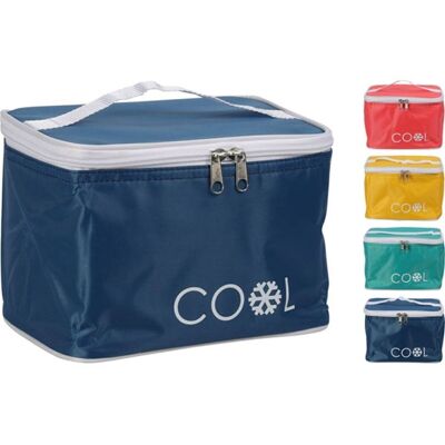 Cooler Bag 4 Liters 21 x 15 x 15 Cm 4 Assortments