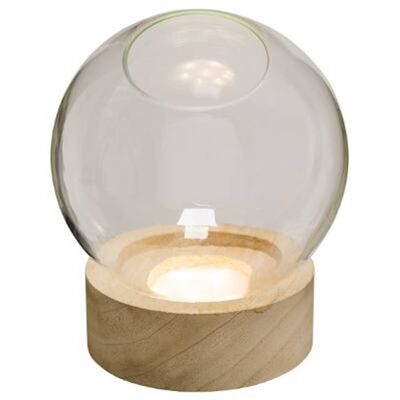Vase Glass + Wood 8 LED H24