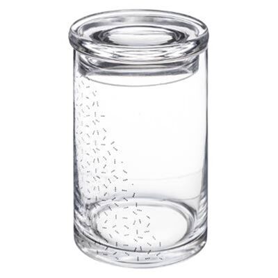 Contemporary Glass Jar H16cm