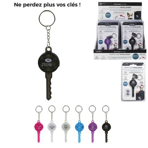 Porte Clefs Inteliigent