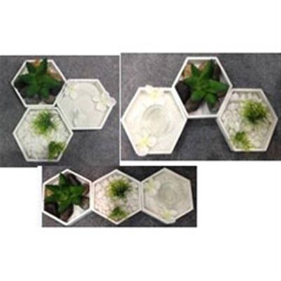 Hexagons Zen Garden