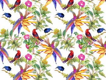 Napperons | Sets de table lavables - branches tropicales avec oiseaux colorés - 4 pièces en vinyle de première classe (plastique) 40 x 30 cm 1