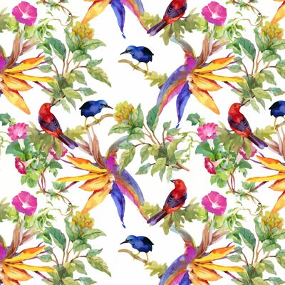 Tovagliette | Tovagliette lavabili - rami tropicali con uccelli colorati - 4 pezzi in vinile di prima qualità (plastica) 40 x 30 cm
