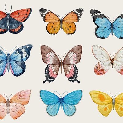 Tovagliette | Tovagliette lavabili - farfalle colorate - 4 pezzi in vinile di prima qualità (plastica) 40 x 30 cm