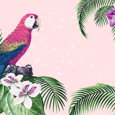 Placemats | Washable placemats - parrot with hibiscus and palm trees - 4 pieces made of first-class vinyl (plastic) 40 x 30 cm