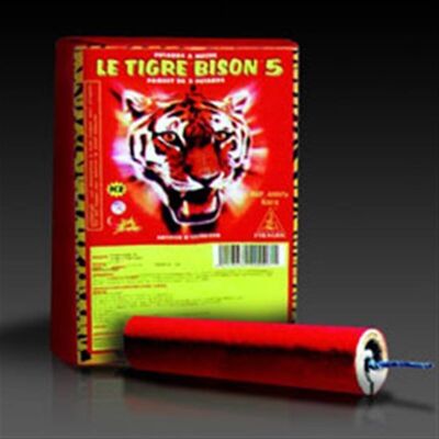 Bison 5 – Giga Demon – 12 Packungen mit je 3 Feuerwerkskörpern