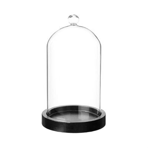 Cloche En Verre Socle Bois H19