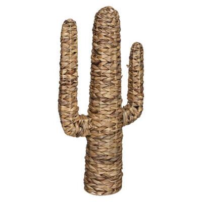 hacienda cactus