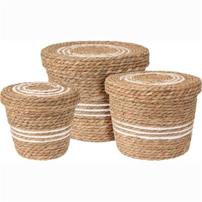 Set of 3 Baskets of 3 sizes with Lid