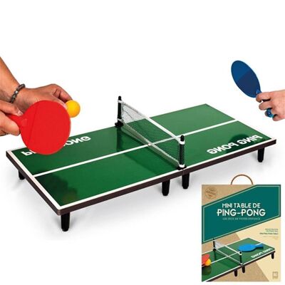 Ping Pong Table 60 x 30 Cm