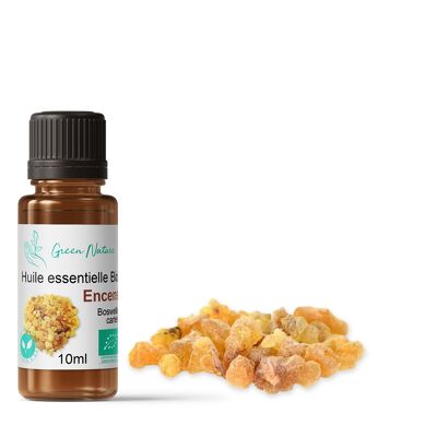 Incienso de aceite esencial orgánico Boswellia Carterii 10ml