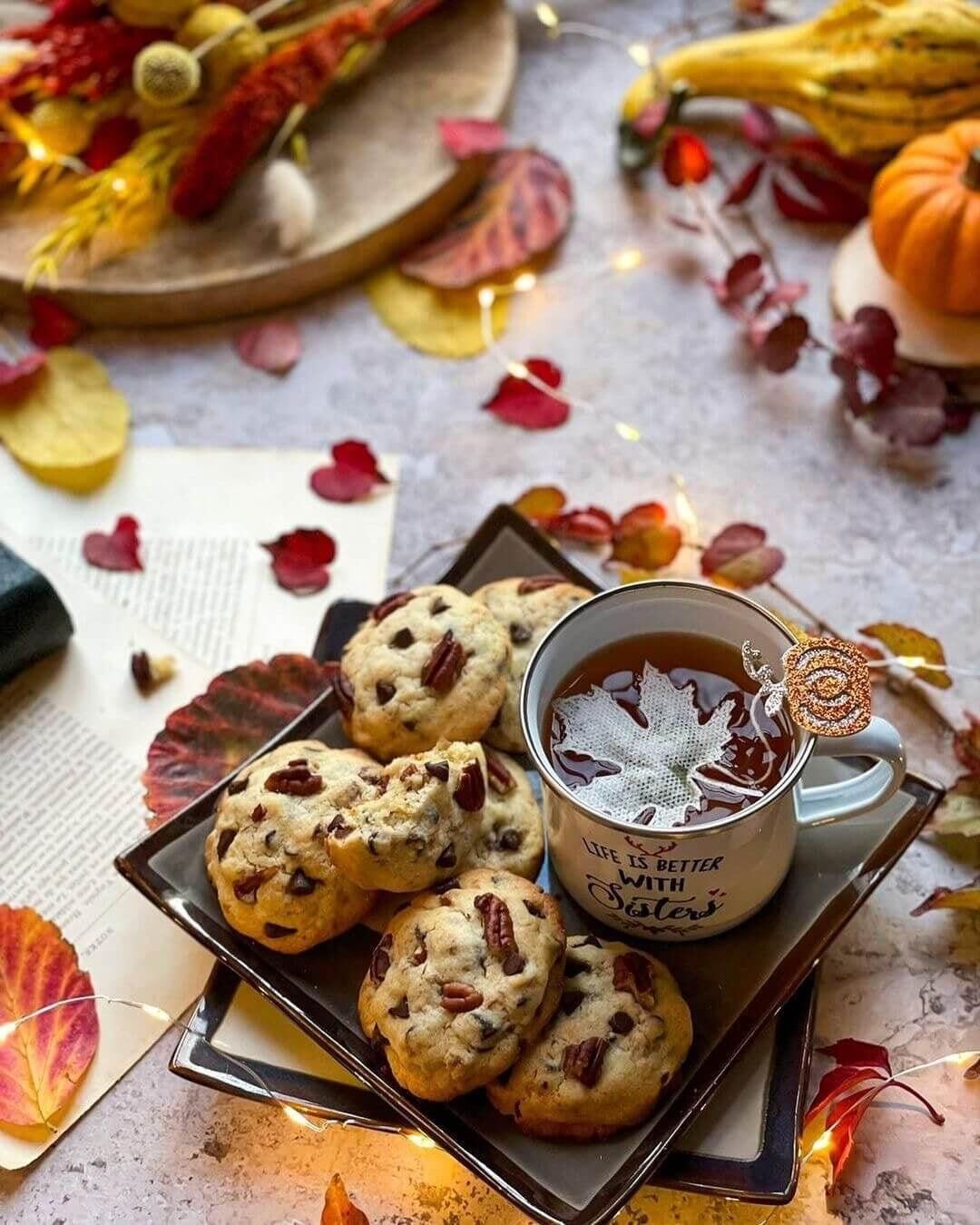 Bio-Ahornblatt-Teebeutel – Earl-Grey