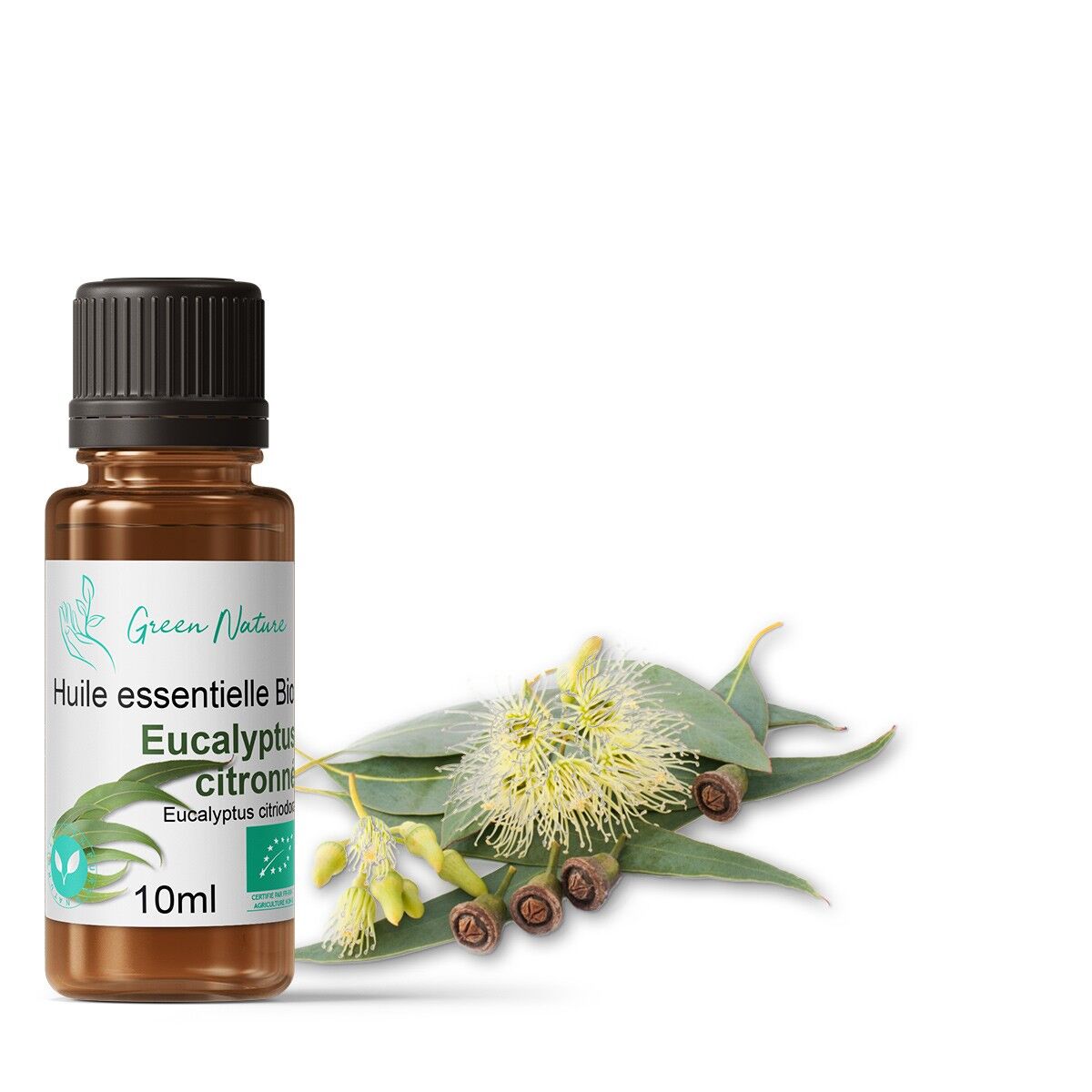 Olio Essenziale Biologico Eucalipto Citriodora 10ml