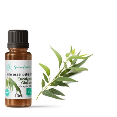 Huile Essentielle Bio Eucalyptus Globulus 10ml