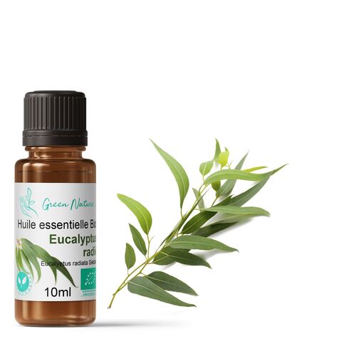 Huile Essentielle Bio Eucalyptus Radiata 10ml