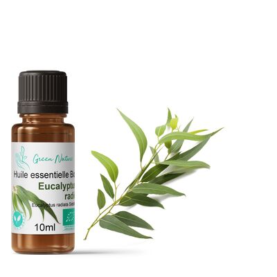 Essential Oil Bio Eucalyptus Radiata 10ml