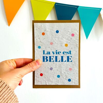 La vie est belle avec des confettis