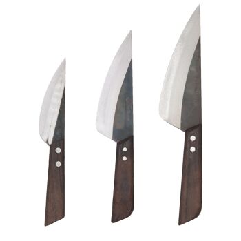AUTHENTIC BLADES VAY Couteau de cuisine asiatique, longueur de lame 12-20 cm 2