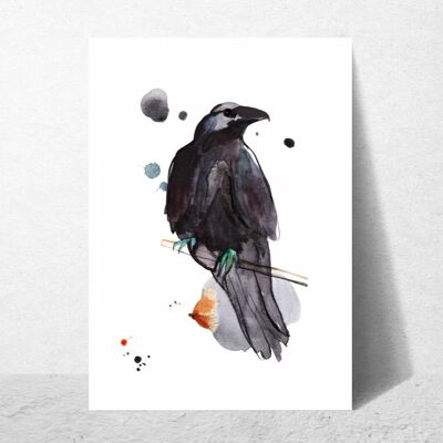 Postal del cuervo/ impresión de arte