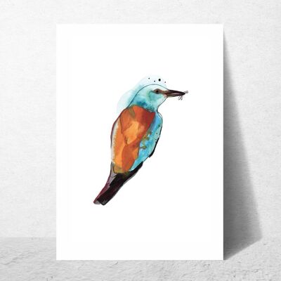 Bird post card. European roller