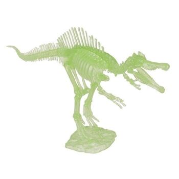 Kit squelette de dinosaure bricolage environ 10 cm 5