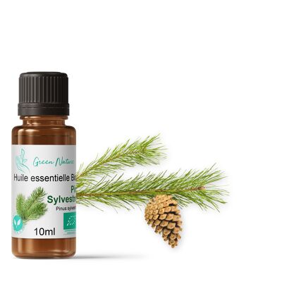 Olio Essenziale Biologico Pino Silvestre 10ml