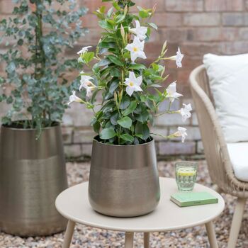 Ensemble de deux jardinières d'extérieur en étain Prescot 1