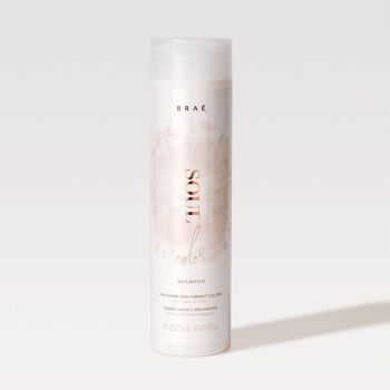 BRAE - Shampoing Soul Color 250ml 1