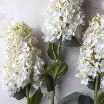 Hydrangea Paniculata – Creme – Abigail Ahern Künstlicher Stiel