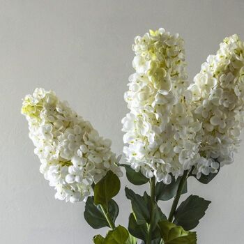 Hortensia paniculata - Crème - Tige artificielle Abigail Ahern 2