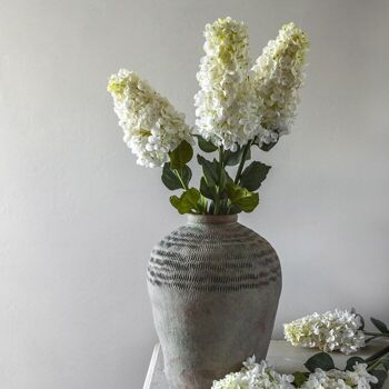 Hortensia paniculata - Crème - Tige artificielle Abigail Ahern 5
