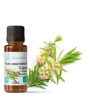 Huile Essentielle Bio Cajeput 10ml