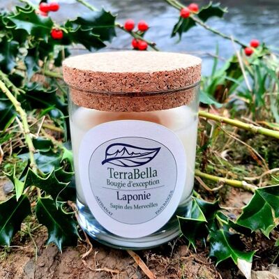 VEGETABLE SCENTED CANDLE - LAPLAND - FIR OF WONDERS
