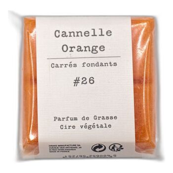 Carré fondant cire végétale - Cannelle Orange 1