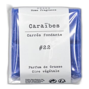 Carré fondant cire végétale - Caraïbes 1