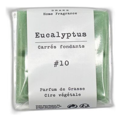 Carré fondant cire végétale - Eucalyptus