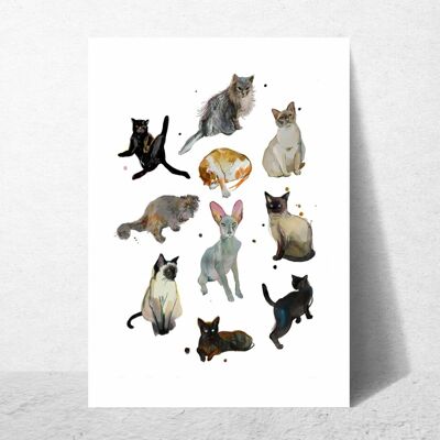 Cartolina postale del gatto