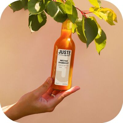 SOLO LA SCELTA DELLA FRUTTA - NETTARE DI ALBICOCCHE 25 cl X 12