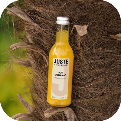 JUGO DE PIÑA 25 cl X 12