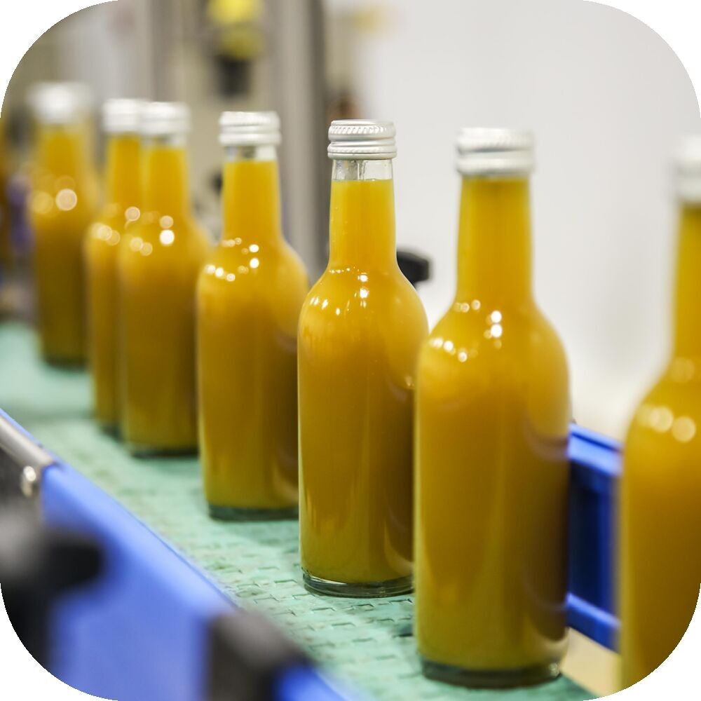 JUSTE LE CHOIX DU FRUIT - JUS D'ANANAS 25 cl X 12
