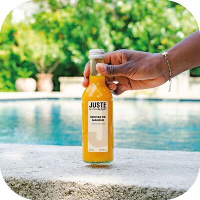 SOLO LA SCELTA DELLA FRUTTA - NETTARE DI MANGO 25 CL X 12