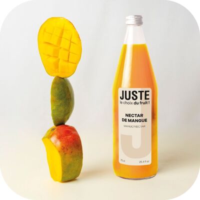 SÓLO LA ELECCIÓN DE LA FRUTA - NÉCTAR DE MANGO 75 CL X 6