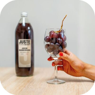 SOLO LA SCELTA DELLA FRUTTA - SUCCO D'UVA ROSSA 1L X 6