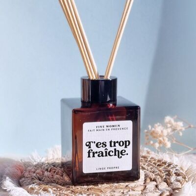 Stick diffuser 100ml / 3 scents