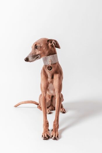 Collier Lia Greyhound 3